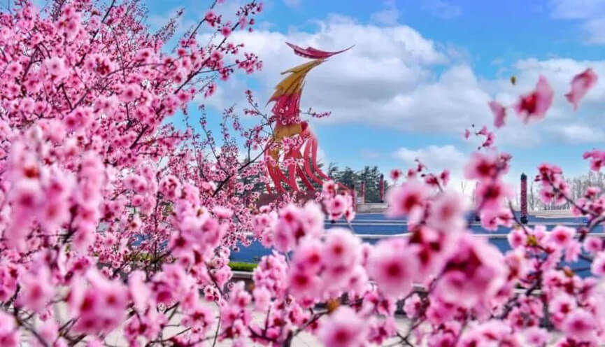 请为临沂写首歌！面向全国征集！